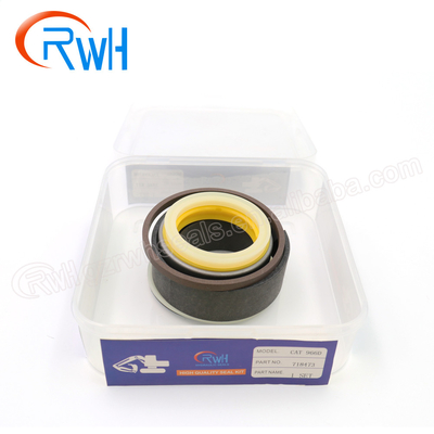 Het Graafwerktuig Seal Kit Video Technical Service Support van de katten966d Reparatie